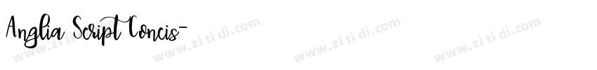 Anglia Script Concis字体转换